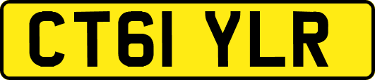 CT61YLR