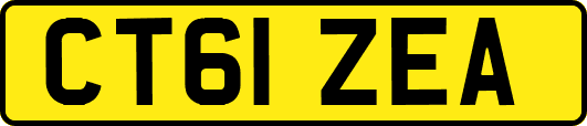 CT61ZEA