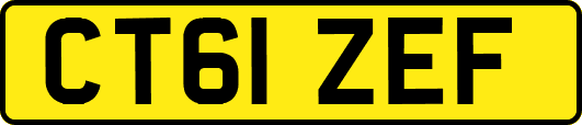 CT61ZEF