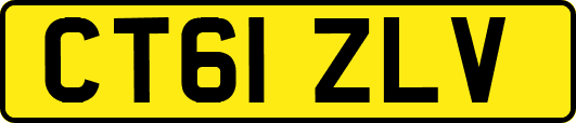 CT61ZLV
