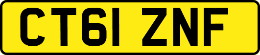 CT61ZNF