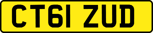 CT61ZUD