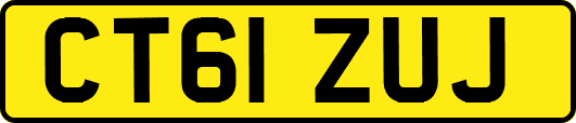 CT61ZUJ