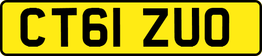 CT61ZUO
