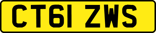 CT61ZWS