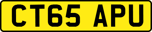 CT65APU
