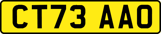 CT73AAO
