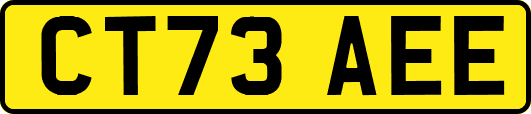 CT73AEE