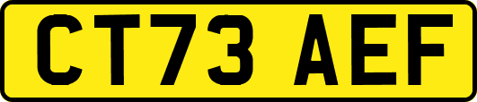 CT73AEF