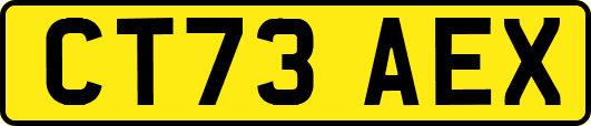 CT73AEX