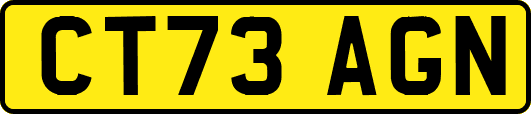 CT73AGN