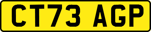 CT73AGP