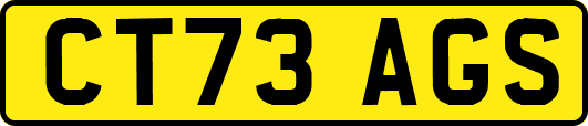 CT73AGS