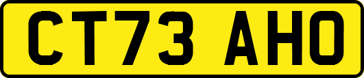 CT73AHO