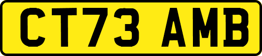 CT73AMB