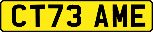 CT73AME