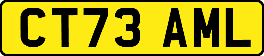 CT73AML