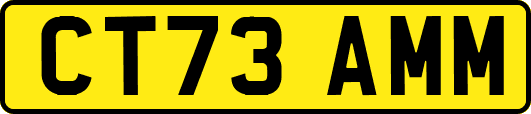CT73AMM