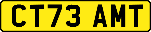 CT73AMT