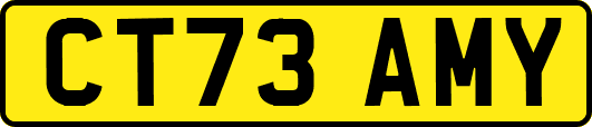 CT73AMY