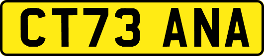CT73ANA