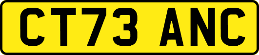 CT73ANC