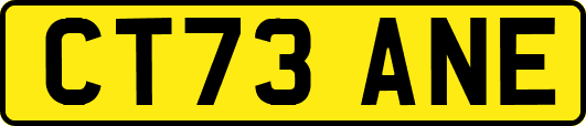 CT73ANE