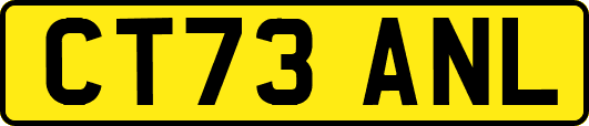 CT73ANL