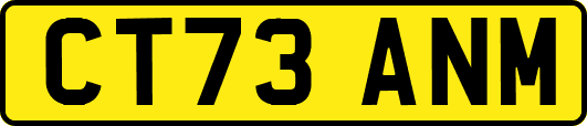CT73ANM