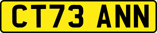 CT73ANN
