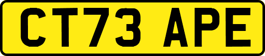 CT73APE