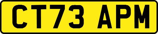 CT73APM