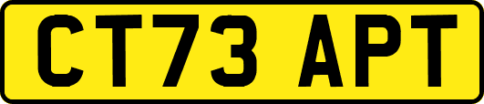 CT73APT