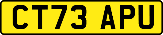 CT73APU