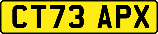 CT73APX