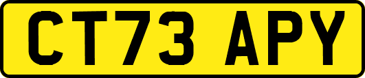 CT73APY