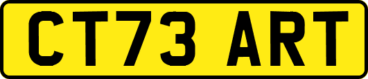 CT73ART