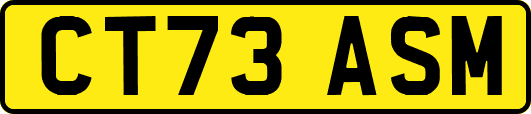 CT73ASM