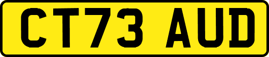 CT73AUD