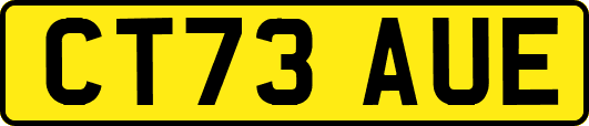CT73AUE