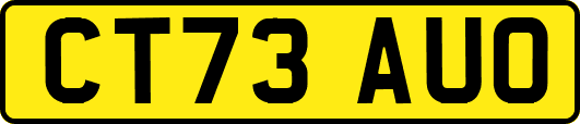 CT73AUO