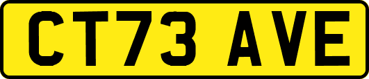 CT73AVE