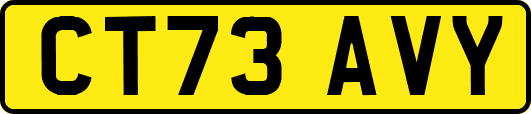 CT73AVY
