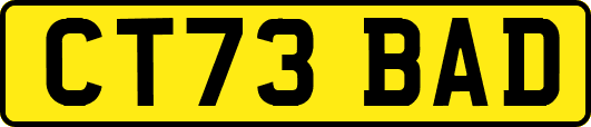 CT73BAD