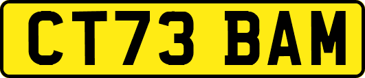 CT73BAM