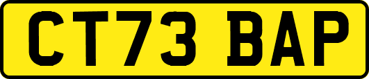 CT73BAP