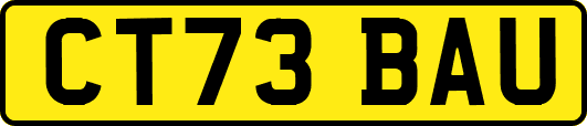 CT73BAU