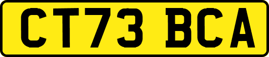 CT73BCA