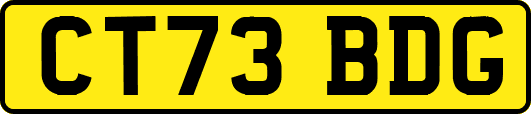 CT73BDG