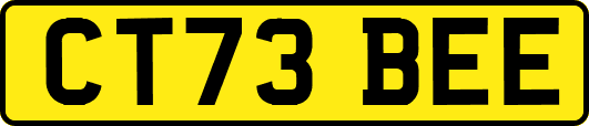 CT73BEE